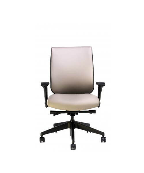 RFM Tech upholstered back chair in San Diego