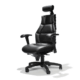 Verte leather chair in San Diego