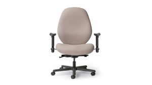 Big and Big and Tall Chair