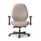 Big and Big and Tall Chair
