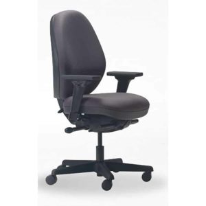 Goodfit Ergonomic Home Office chair