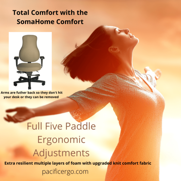 SomeHome Comfort Ergonomic Office Chair