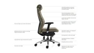 Ergonomic Tall Office Chairs