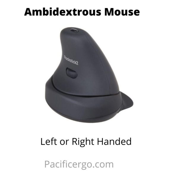 Ambidextrous mouse