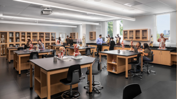 Science lab chairs science lab chairs