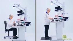 Height Adjustable Bench