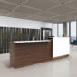 Fluid_Reception wide_I