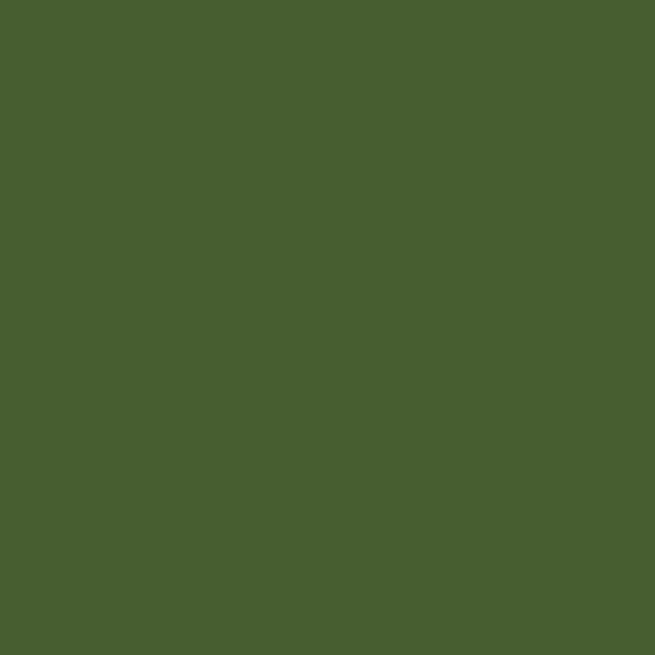 Darkgreen Darkgreen
