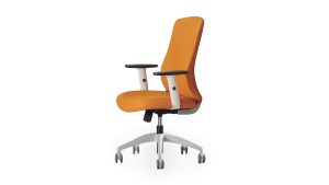 Desk Chairs