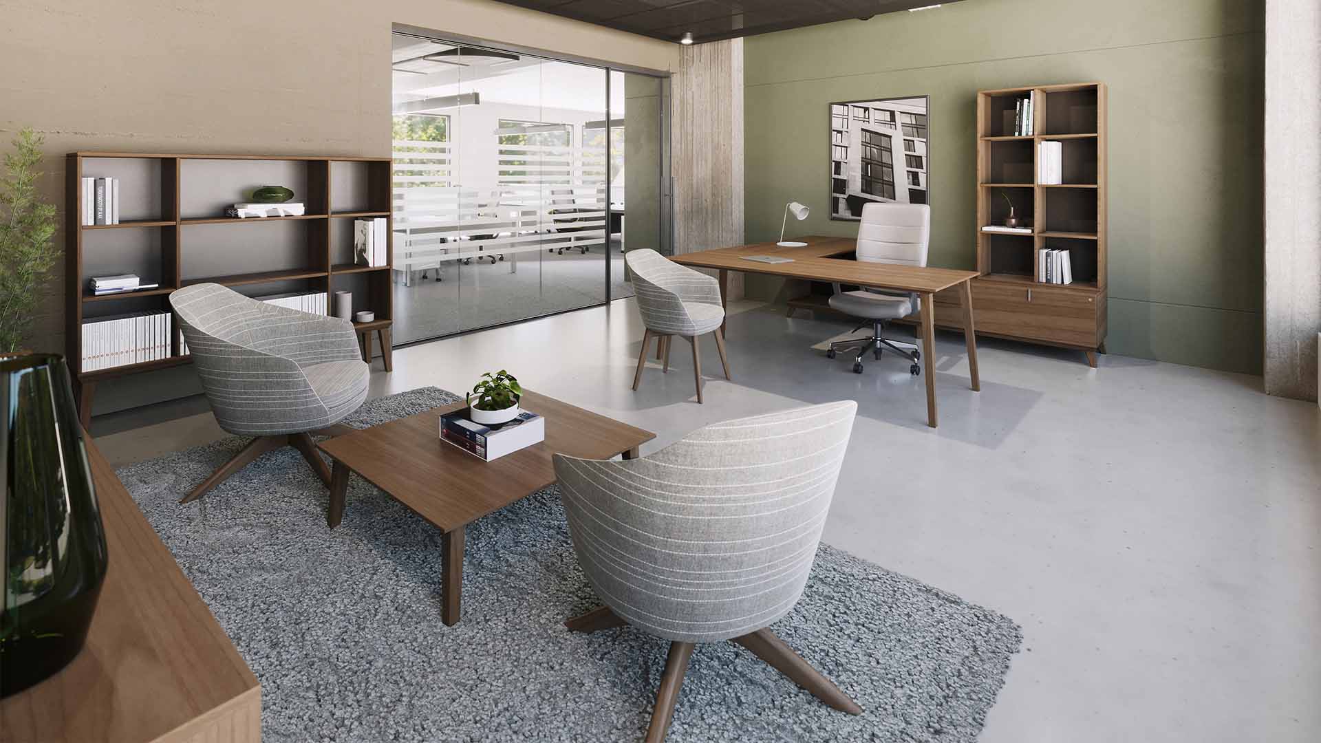 Modern Executive Office
