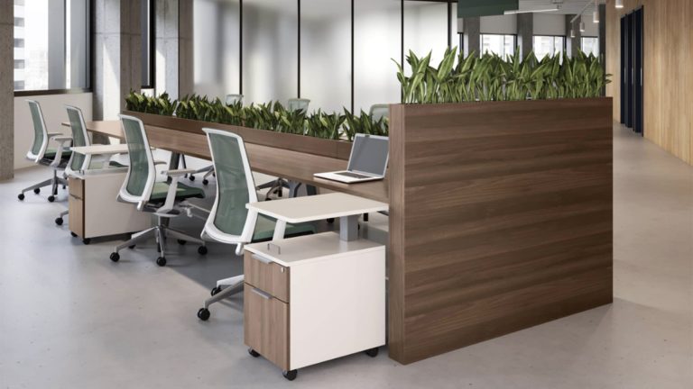 Biophilic Design Desk Placement