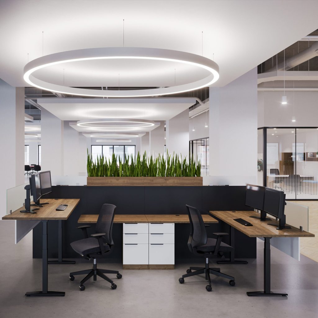 Biophilic Design Desk Placement