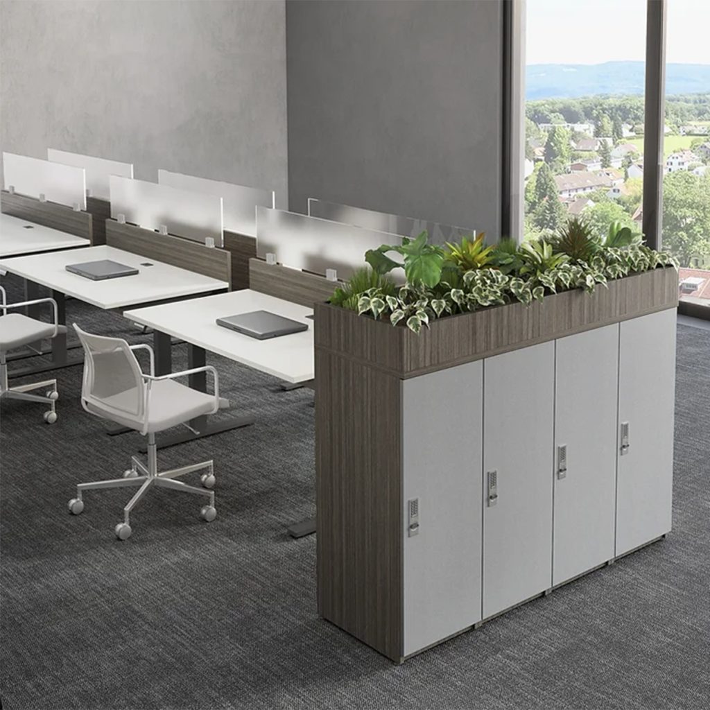 Biophilic Design Desk Placement