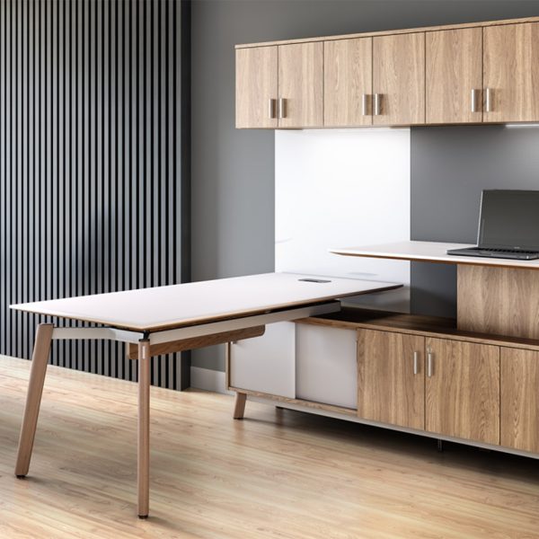 The Apex Minimalist Executive Sit to Stand Desk Suite