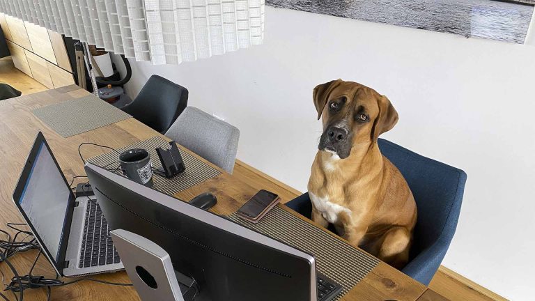 Pacific Ergonomics provides a comprehensive home office ergonomic assessment program tailored for corporate clients to support the ergonomic health and safety of employees working remotely. Our complete service includes certified ergonomists conducting virtual assessments, integrated scheduling software, a procurement portal to monitor employee progress, and an ergonomic product catalog with installation services for home setups, featuring sit-stand desks and ergonomic chairs. Leadership teams across the country are recognizing the immense value of providing home office ergonomic assessments for new hires and existing employees. This strategy not only mitigates the risk of costly claims due to Musculoskeletal Disorders (MSDs) but also significantly enhances employee comfort, job acceptance, and retention. We collaborate with EHS teams who are committed to equipping their employees with the essential tools and personalized training they need. Our proactive approach not only boosts home office safety and efficiency but also elevates morale, making employees proud to be part of organizations that genuinely care for their well-being. The Need for Ergonomic Home Office Assessments: Any company with employees working hybrid or remotely across the country can benefit from our services. Pacific Ergonomics supports businesses of all sizes, from small companies to Fortune 500 firms. Employees working from home face a higher risk of Musculoskeletal Disorders (MSDs) than their corporate counterparts. Often, they lack the right tools or don't know what they need for their specific situations. Our holistic approach delivers the necessary tools, resources, and expertise to prevent injuries and enhance employee well-being. We collaborate closely with health and safety teams to address the unique needs of hybrid or remote workers. Also, our programs increase morale, attract quality employees and improve retention and overall job satisfaction. Home office ergonomic programs are inherently more complex due to the diverse environments in which employees work. Challenges include varying space sizes, connectivity to existing equipment, acoustics, and privacy concerns. What Sets our Turn Key Home Office Ergonomic Assessment Services Apart: What sets us apart is our deep sensitivity to home office environments and our comprehensive turn-key home office software portal. We drive positive change without the need for home visits, ensuring employees have the right tools and know how to use them effectively. We establish the entire backbone of the program with certified ergonomists who are also ergonomic product experts, EHS software solutions, effective systems and processes, an ergonomic product catalog, procurement portal making it easy to schedule assessments and have full visibility of all assessments, and home office installation services across the U.S., even in remote areas. For companies conducting dozens of assessments a week, we make this process seamless, saving valuable time for everyone from EHS to HR, employees, and managers. Home office ergonomic programs are inherently more complex than corporate ones due to the diverse home environments employees work in. Challenges include varying space sizes, connectivity to current equipment, acoustics, and privacy issues. Join us in prioritizing employee well-being and drive your organization toward a healthier, more productive future. Together, we can overcome challenges, push limits, and achieve success. Let's inspire, motivate, and ensure every employee has the tools they need to thrive. Pacific Ergonomics provides a comprehensive home office ergonomic assessment program tailored for corporate clients to support the ergonomic health and safety of employees working remotely. Our complete service includes certified ergonomists conducting virtual assessments, integrated scheduling software, a procurement portal to monitor employee progress, and an ergonomic product catalog with installation services for home setups, featuring sit-stand desks and ergonomic chairs. Leadership teams across the country are recognizing the immense value of providing home office ergonomic assessments for new hires and existing employees. This strategy not only mitigates the risk of costly claims due to Musculoskeletal Disorders (MSDs) but also significantly enhances employee comfort, job acceptance, and retention. We collaborate with EHS teams who are committed to equipping their employees with the essential tools and personalized training they need. Our proactive approach not only boosts home office safety and efficiency but also elevates morale, making employees proud to be part of organizations that genuinely care for their well-being. The Need for Ergonomic Home Office Assessments: Any company with employees working hybrid or remotely across the country can benefit from our services. Pacific Ergonomics supports businesses of all sizes, from small companies to Fortune 500 firms. Employees working from home face a higher risk of Musculoskeletal Disorders (MSDs) than their corporate counterparts. Often, they lack the right tools or don't know what they need for their specific situations. Our holistic approach delivers the necessary tools, resources, and expertise to prevent injuries and enhance employee well-being. We collaborate closely with health and safety teams to address the unique needs of hybrid or remote workers. Also, our programs increase morale, attract quality employees and improve retention and overall job satisfaction. Home office ergonomic programs are inherently more complex due to the diverse environments in which employees work. Challenges include varying space sizes, connectivity to existing equipment, acoustics, and privacy concerns. What Sets our Turn Key Home Office Ergonomic Assessment Services Apart: What sets us apart is our deep sensitivity to home office environments and our comprehensive turn-key home office software portal. We drive positive change without the need for home visits, ensuring employees have the right tools and know how to use them effectively. We establish the entire backbone of the program with certified ergonomists who are also ergonomic product experts, EHS software solutions, effective systems and processes, an ergonomic product catalog, procurement portal making it easy to schedule assessments and have full visibility of all assessments, and home office installation services across the U.S., even in remote areas. For companies conducting dozens of assessments a week, we make this process seamless, saving valuable time for everyone from EHS to HR, employees, and managers. Home office ergonomic programs are inherently more complex than corporate ones due to the diverse home environments employees work in. Challenges include varying space sizes, connectivity to current equipment, acoustics, and privacy issues. Join us in prioritizing employee well-being and drive your organization toward a healthier, more productive future. Together, we can overcome challenges, push limits, and achieve success. Let's inspire, motivate, and ensure every employee has the tools they need to thrive.