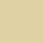 PAINT_Tan