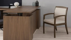 Traditional Guest Chair
