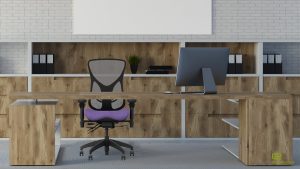 Ergonomic Chairs