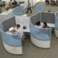 Curved high wall acoustic angled workstations with whiteboard