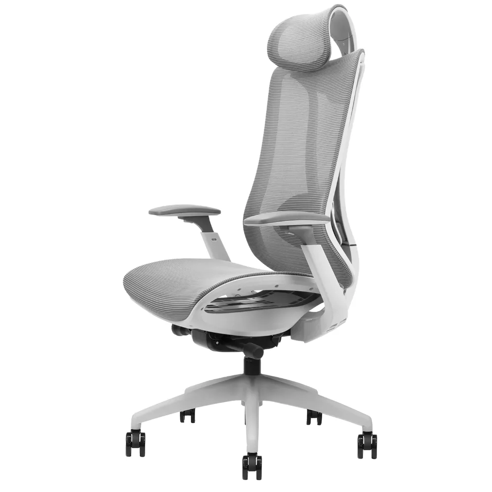Nubé Chair All Mesh Chair with Headrest