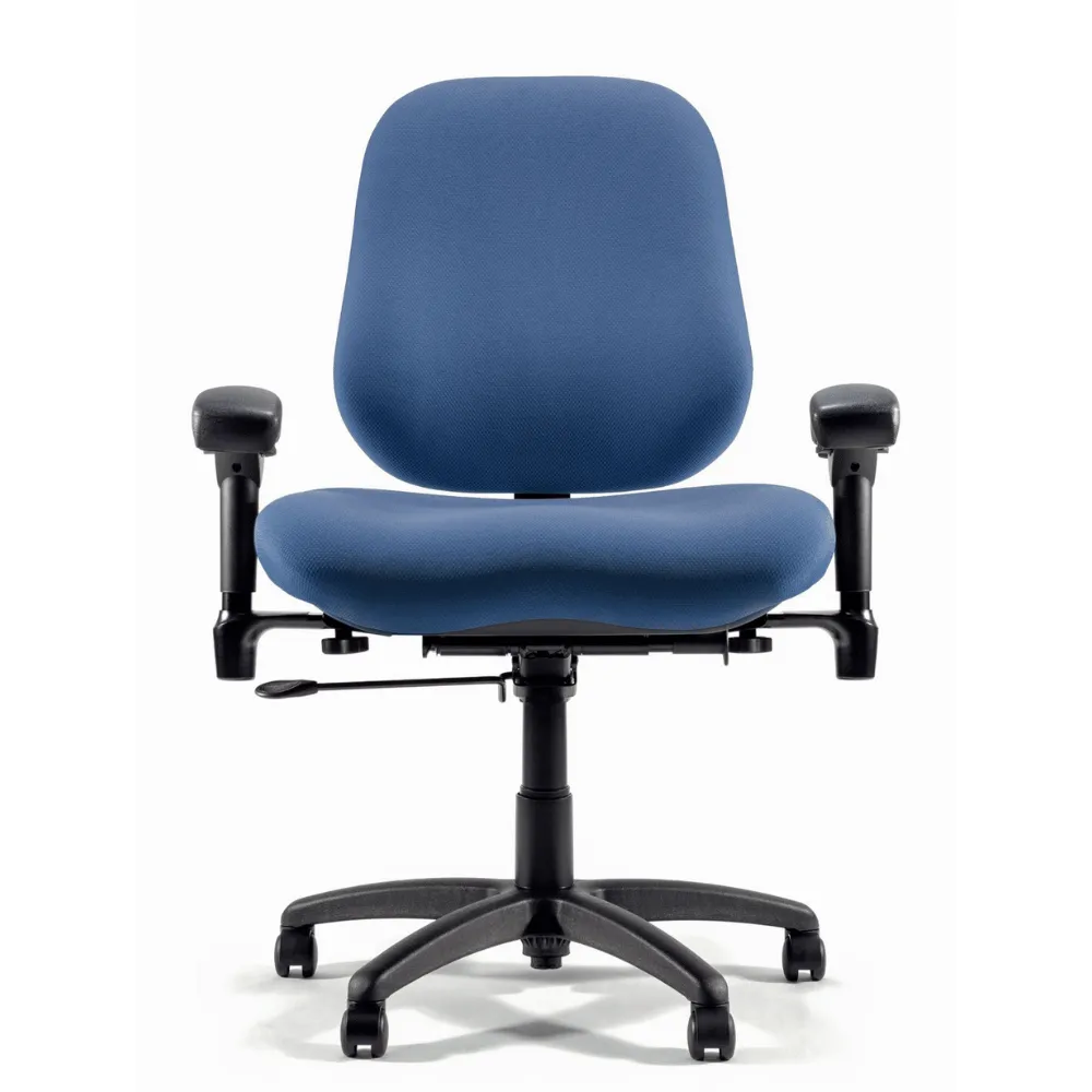 product Bodybilt Classic 3500 Ergonomic Chair with Headrest
