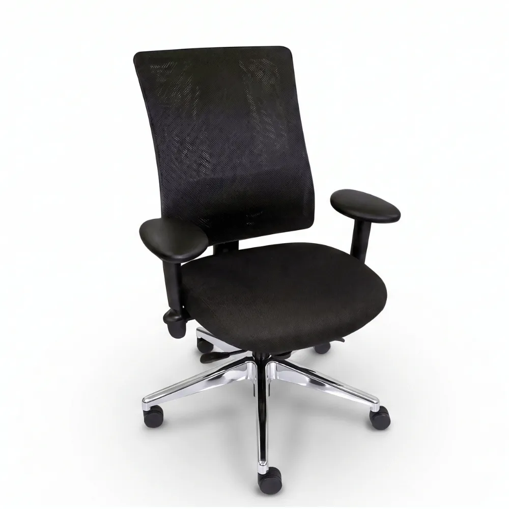 Cardinal Chair Cardinal Ergonomic Chair with Adjustable Lumbar and Thoracic 1