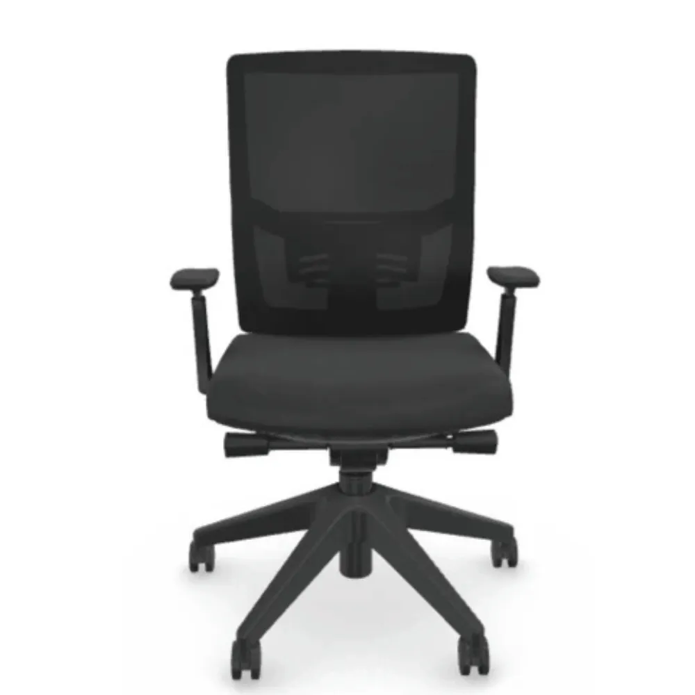 Value Priced Ergonomic Chair Value Priced Ergonomic Mesh Back Chair