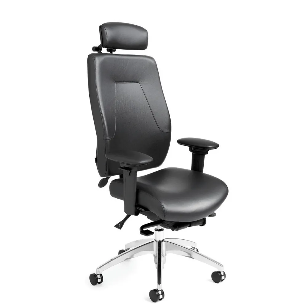 eCentric Executive Chair ecentric ergonomic chair