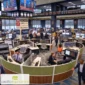 Lunar Halo Large Cubicles for Collaborative Teams, cubicles on a trading floor